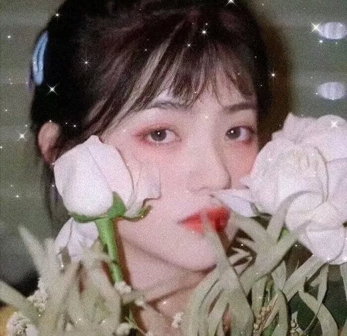 总裁的诱惑